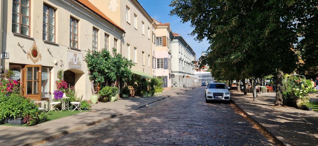Tyzen39&38 Luxury Apartment Vilna Exterior foto